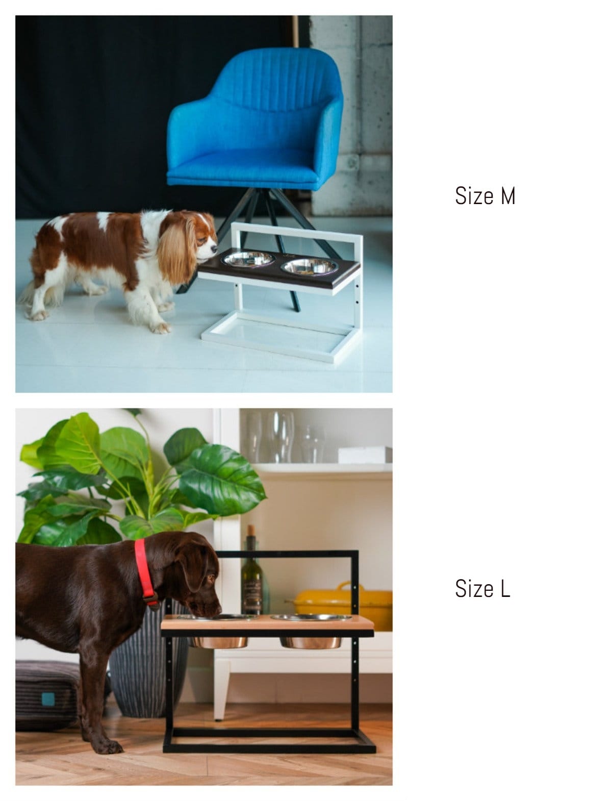 Elevated Dog Bowls Adjustable Height Dog Bowls Double Bowls Etsy UK