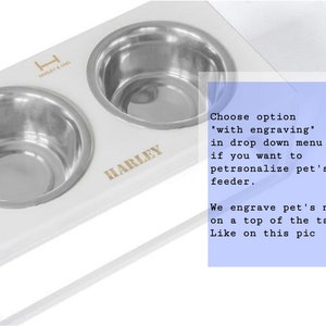May include: White elevated double dog bowl feeder with stainless steel bowls. The feeder has the name "HARLEY" engraved on the front.  Choose option "with engraving" in drop down menu if you want to personalize pet's feeder. We engrave pet's name on a top of the table Like on this pic