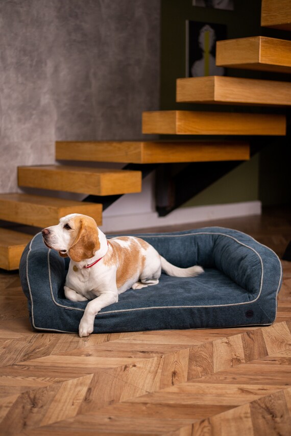 Dog beds for older large dogs deals