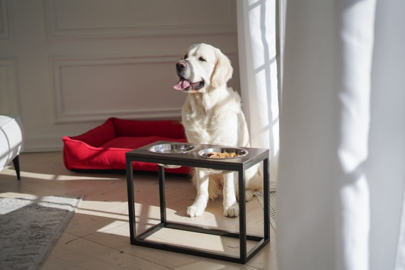 Extra Large Dog Bowls With Stand Elevated Double Bowls Stand for