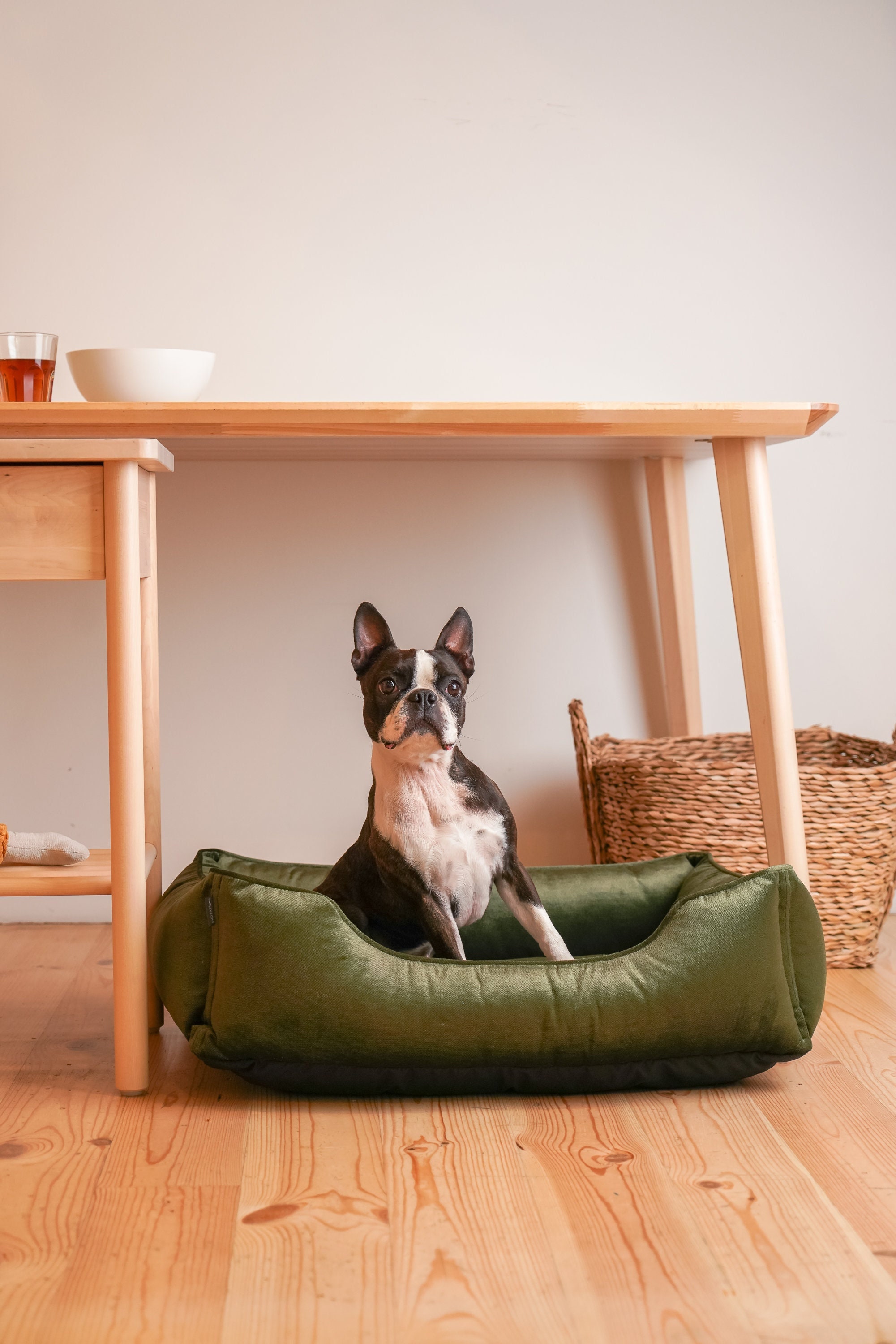 Green Dog Bed Emerald Green Cozy Bed for Puppy Bed for Large Etsy