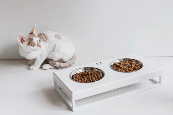 Elevated Bowl Stand for Cats and Small Dogs, Feeding Stand With Bowls 