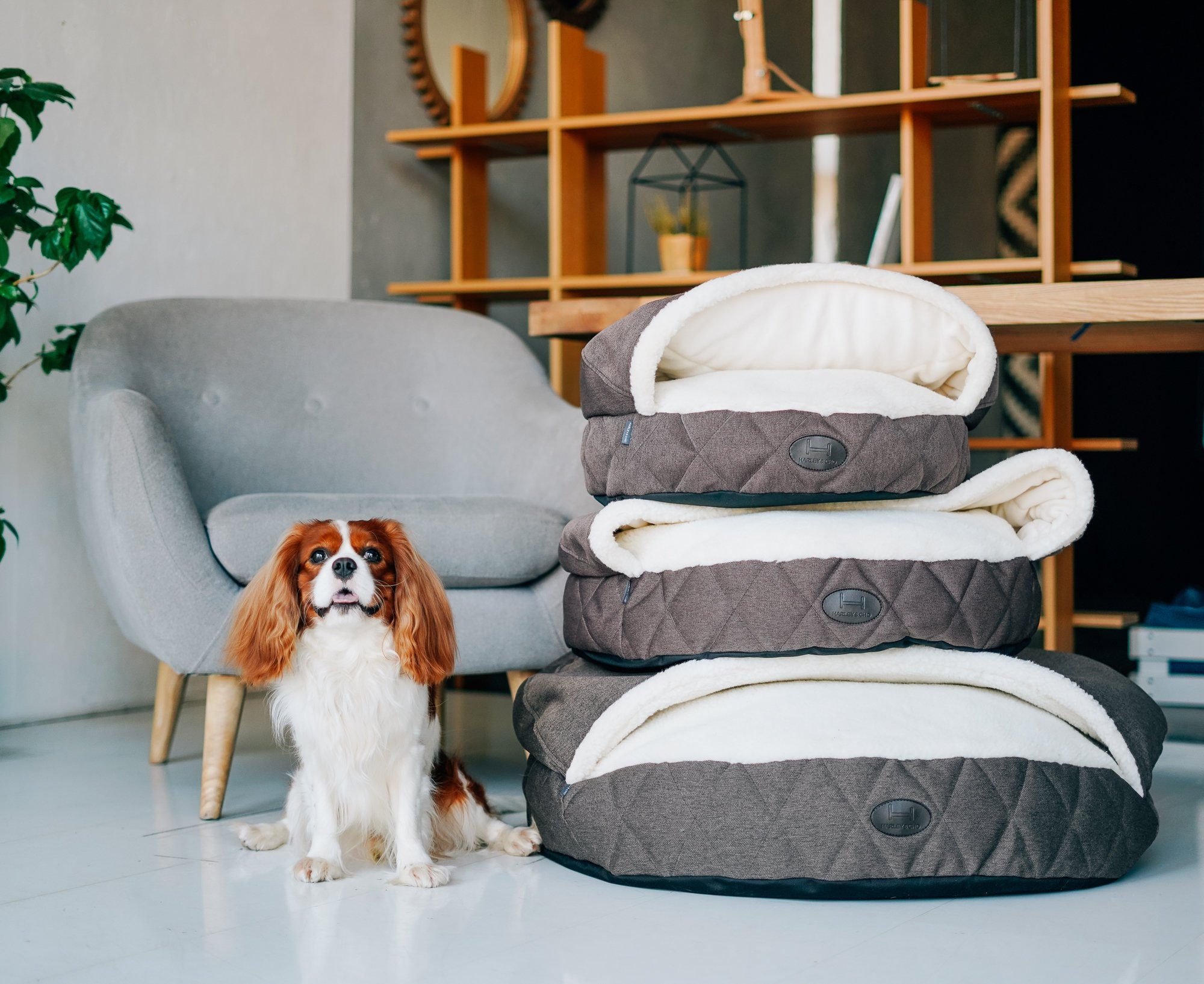 Durable Dog Bed With Faux Fur Small Dog Pouf Cover Brown Warm Etsy