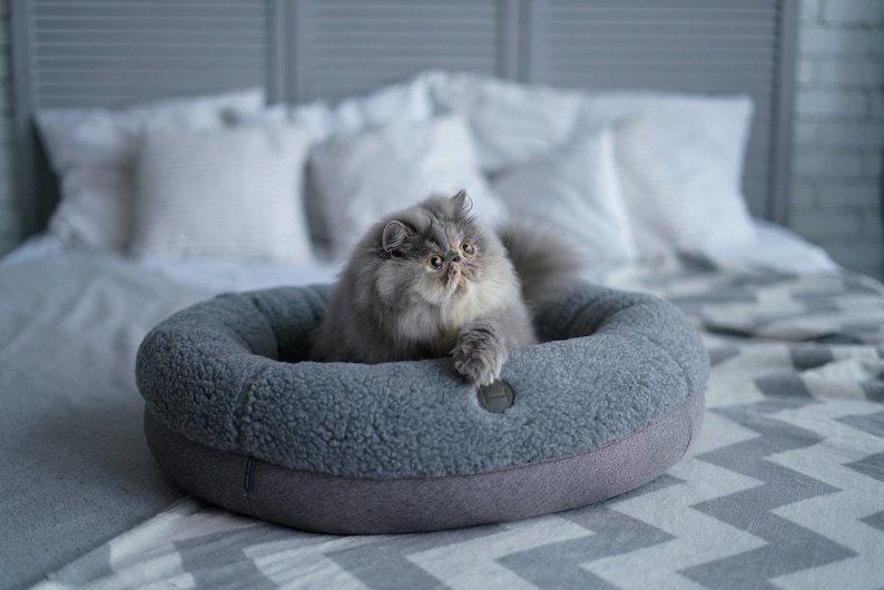 Puede incluir: Un gato gris con pelaje blanco alrededor de la cara y las patas est&aacute; acostado en una cama redonda gris para mascotas. La cama est&aacute; sobre una manta de patr&oacute;n gris y blanco.