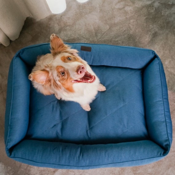 hunde zahnbrste Hundezahnbrste  NOBELHUND