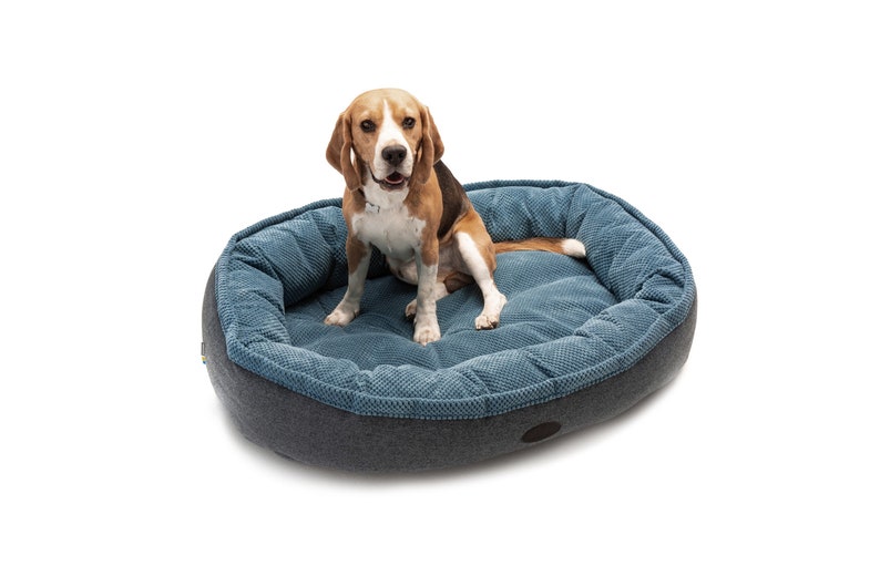 Große Hundebett Donut Hund Bett Haustier Bett XL Hundebett Etsy