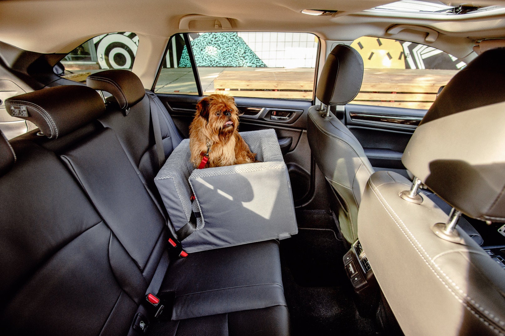 Dog Booster Autositz vorne und hinten Hundeautositz Lookout