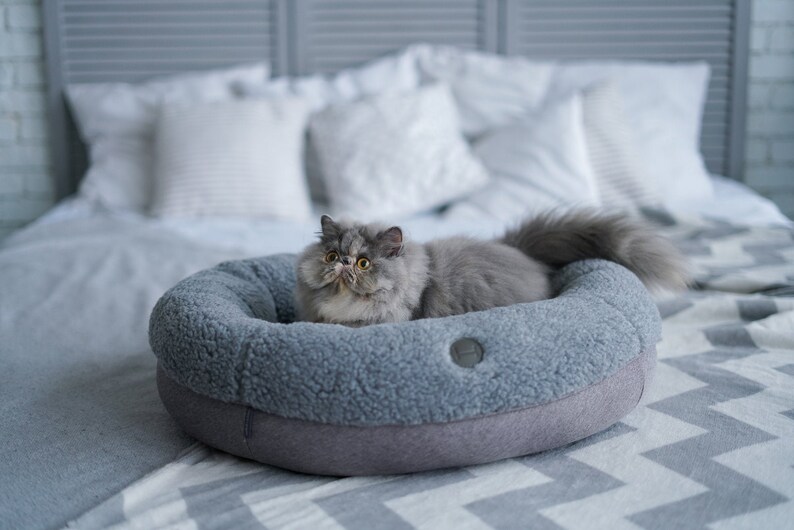 Puede incluir: Un gato gris con ojos amarillos se sienta en una cama redonda para mascotas de color gris sobre una manta blanca y gris. La cama tiene un forro suave y peludo.