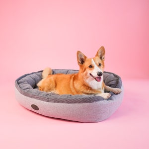 May include: A brown and white dog laying in a gray dog bed on a pink background.