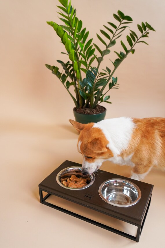 Dog Bowls With The Stand Elevated Pet Bowls Modern Feeder Etsy
