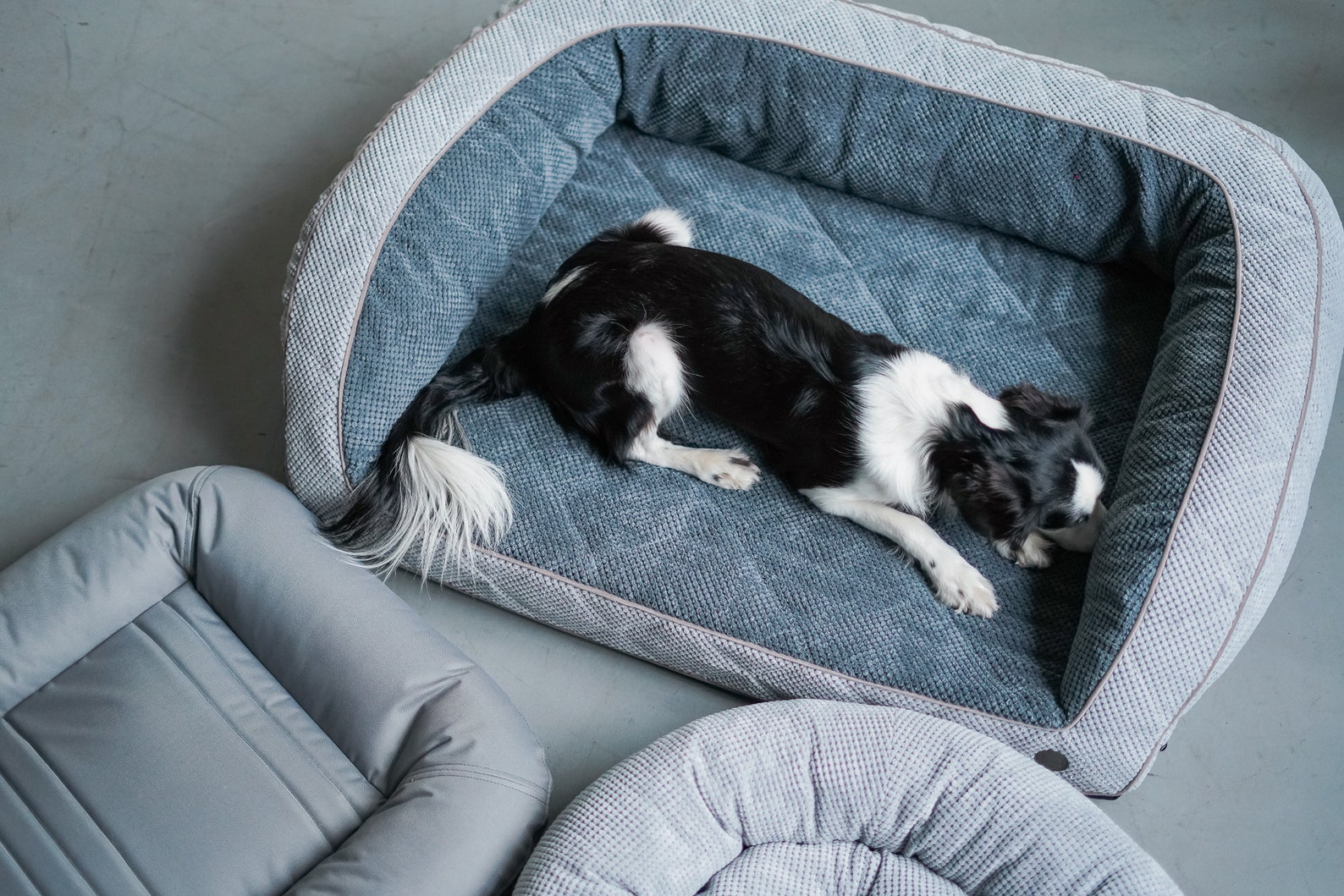Senior Dog Bed Soft and Durable Foam Mattress Dog Bed With Etsy