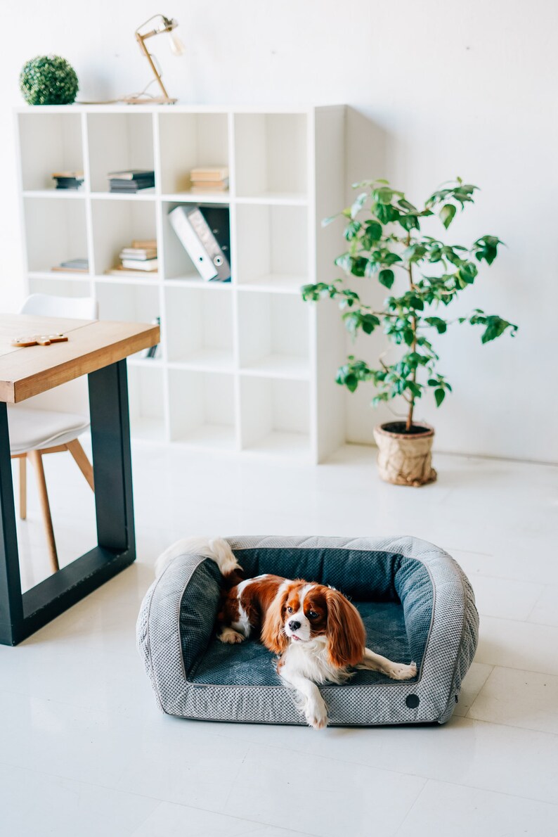 Bolster Dog Bed. Large Orthopedic Dog Bed Like Real Sofa. Pet Etsy