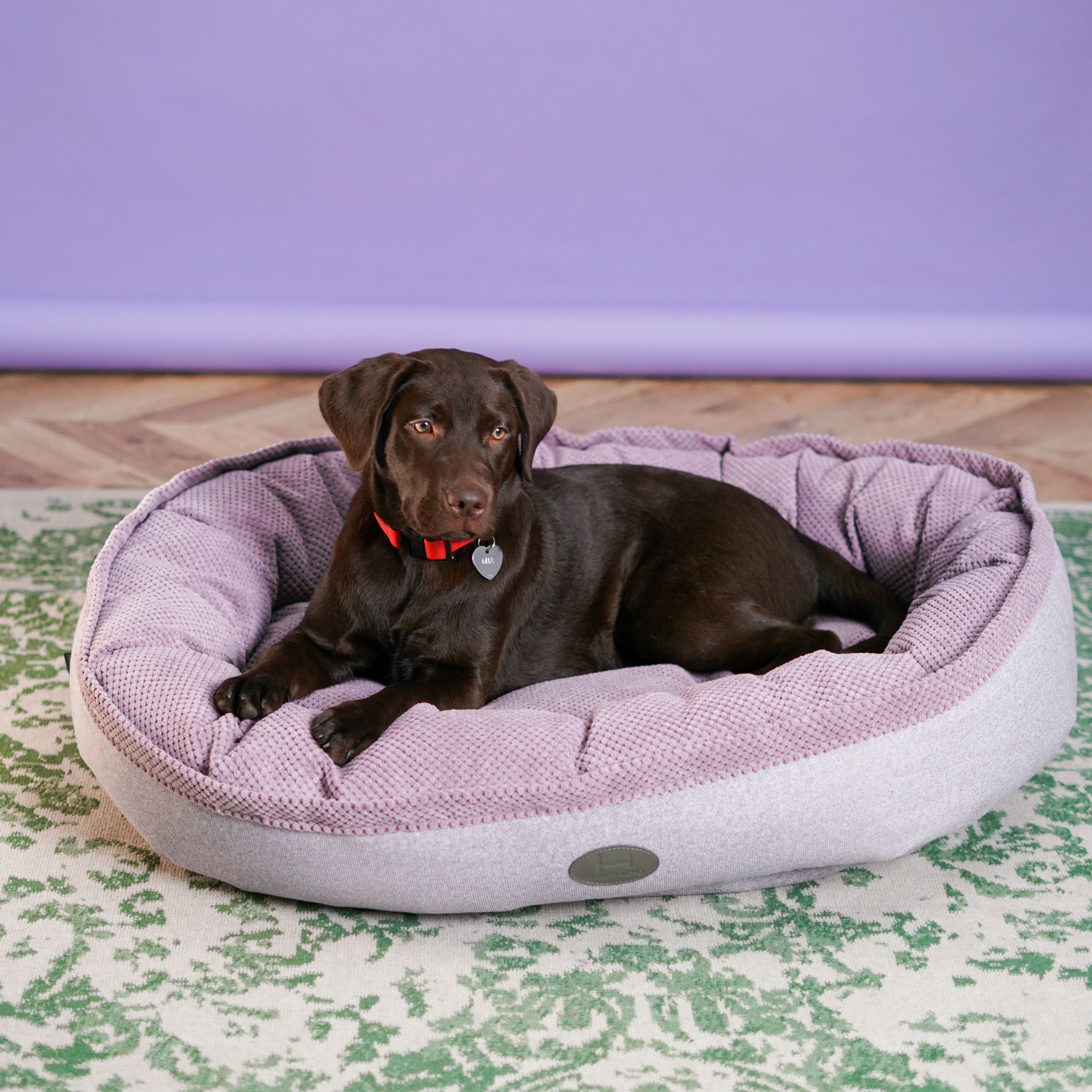 kmart cane dog bed