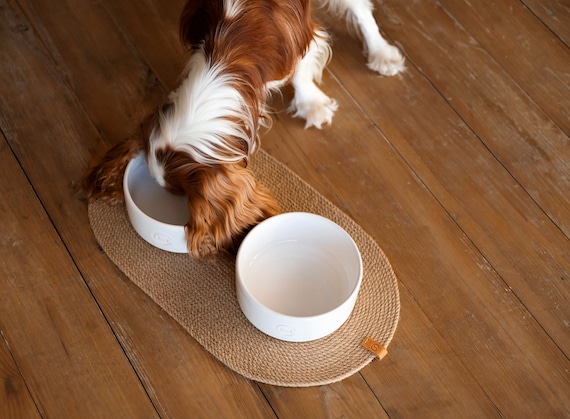 Jute Rope Dog Bowl Mat: Natural Pet Food & Water Placement