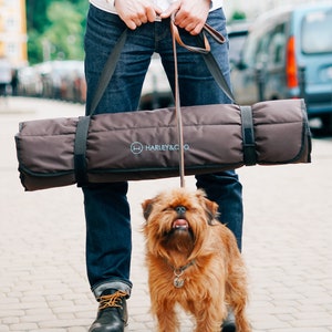 Alfombrilla de viaje enrollable para perros, alfombrilla impermeable para perros, cama portátil para perros al aire libre, adecuada para parques y descanso para acampar, tumbona plegable resistente al agua para perros