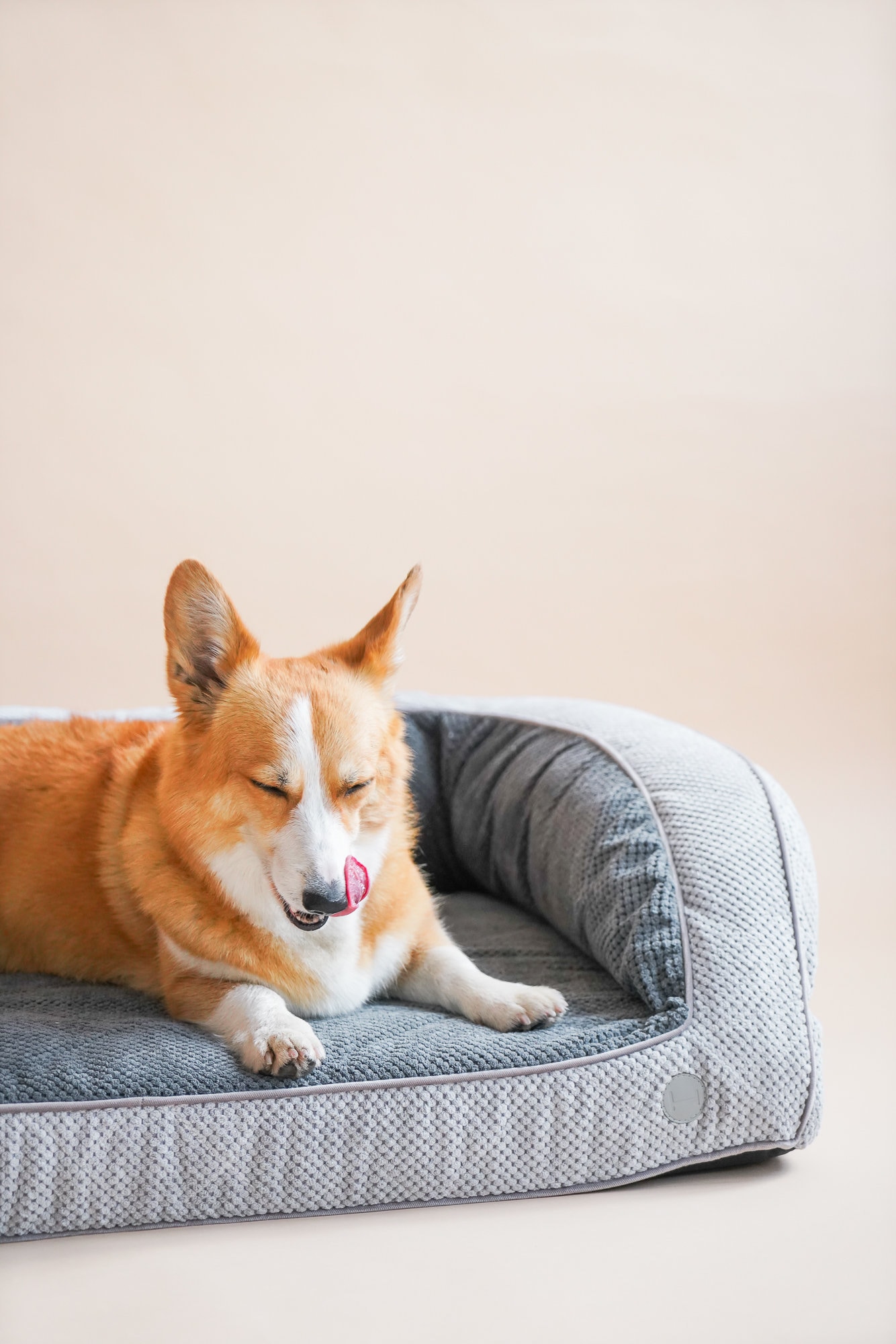 orthopedic bolster dog bed large