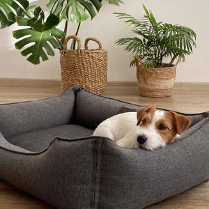 May include: A gray dog bed with a rectangular shape and a low profile. A small, white and brown dog is resting inside the bed. Two woven baskets with plants are in the background.