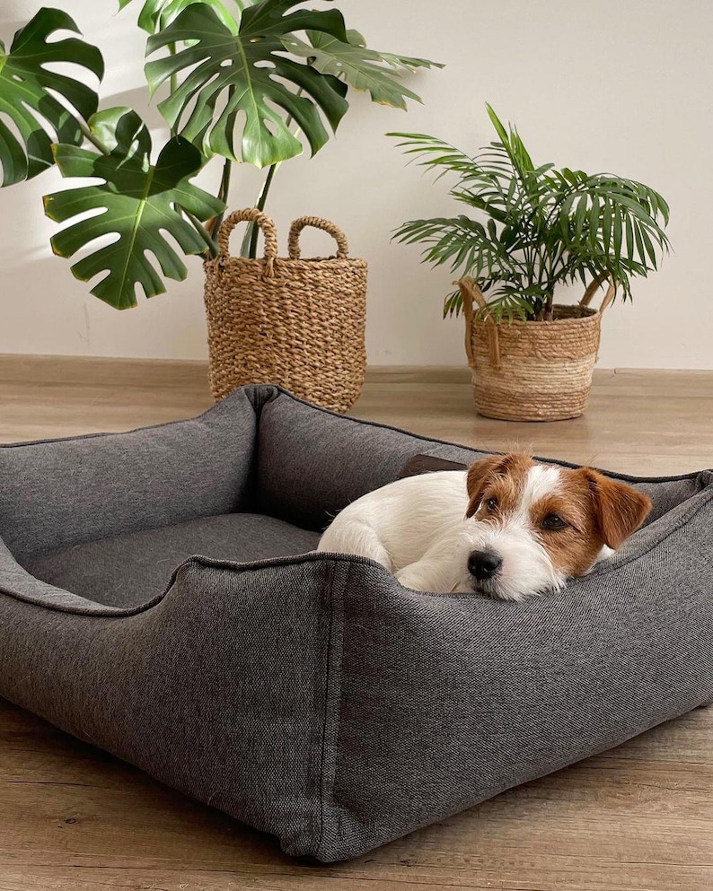 May include: A gray dog bed with a rectangular shape and a low profile. A small, white and brown dog is resting inside the bed. Two woven baskets with plants are in the background.