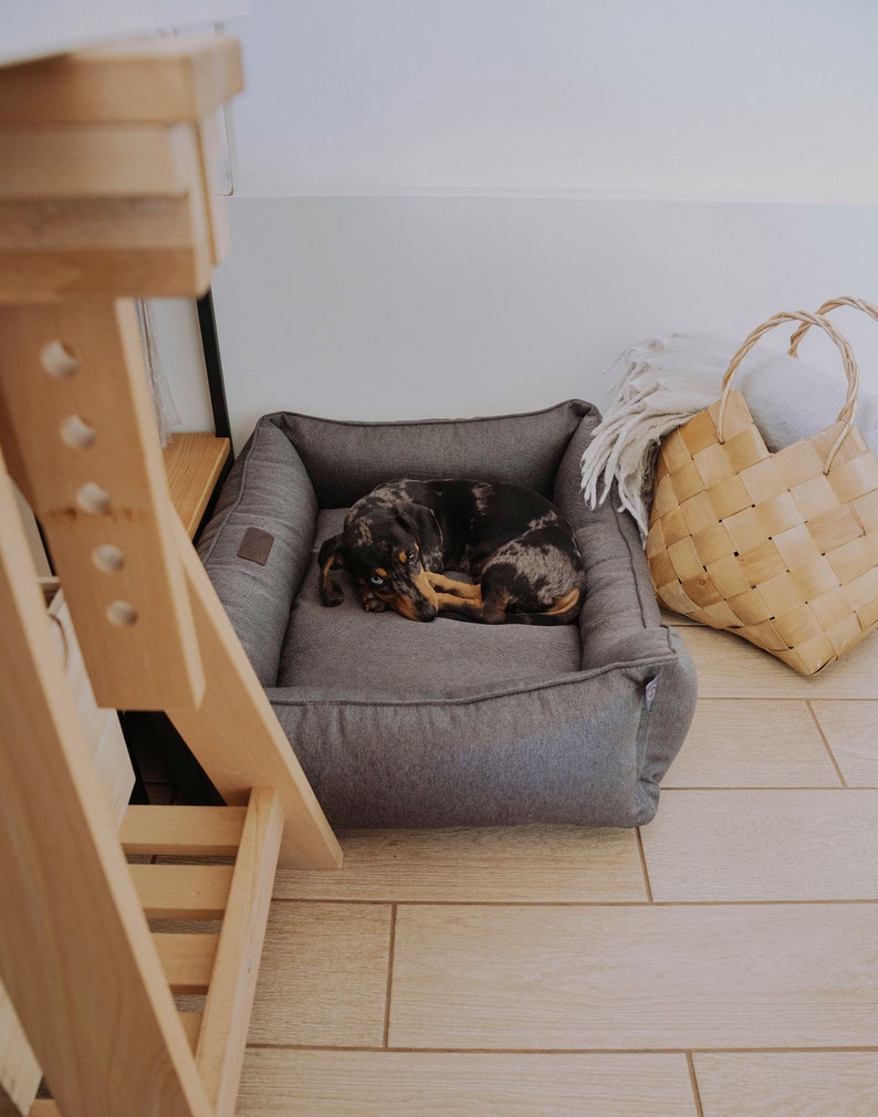 dog bed, dog bed large dogs, large dog bed, orthopedic dog bed, extra large dog bed, harley and cho, xl luxury dog bed, green dog bed, harleyandcho, modern pet bed, dog bed medium dog, xxl washable dog bed, dog couch sofa, dog bed puppy small dogs
