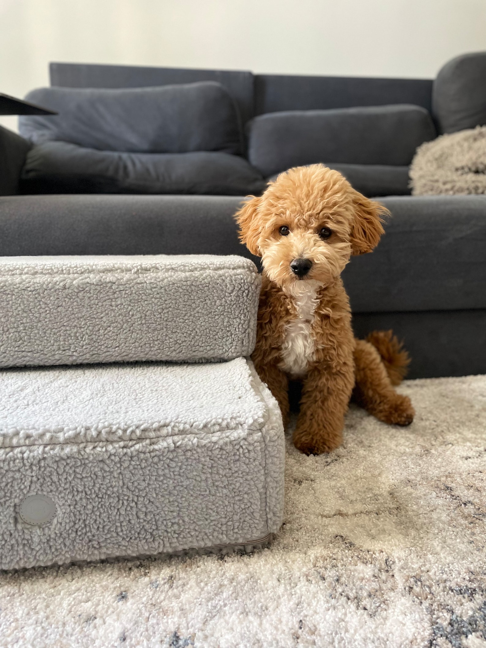 Soft Pet Ramps, Fur Dog Stairs, Dog Steps for Bed, Pet Steps for Small ...