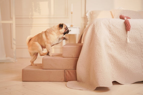 Rampa per cani per cuccia alta, scala per cuccia staccabile con  rivestimento rimovibile, gradini per cani di piccola taglia -  Italia