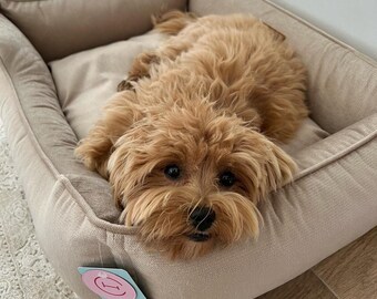 May include: A small, tan dog rests in a beige dog bed. The dog has fluffy, light brown fur and dark eyes. The bed has a rectangular shape with a soft, cushioned interior and a tag that reads "Harley & Cho."