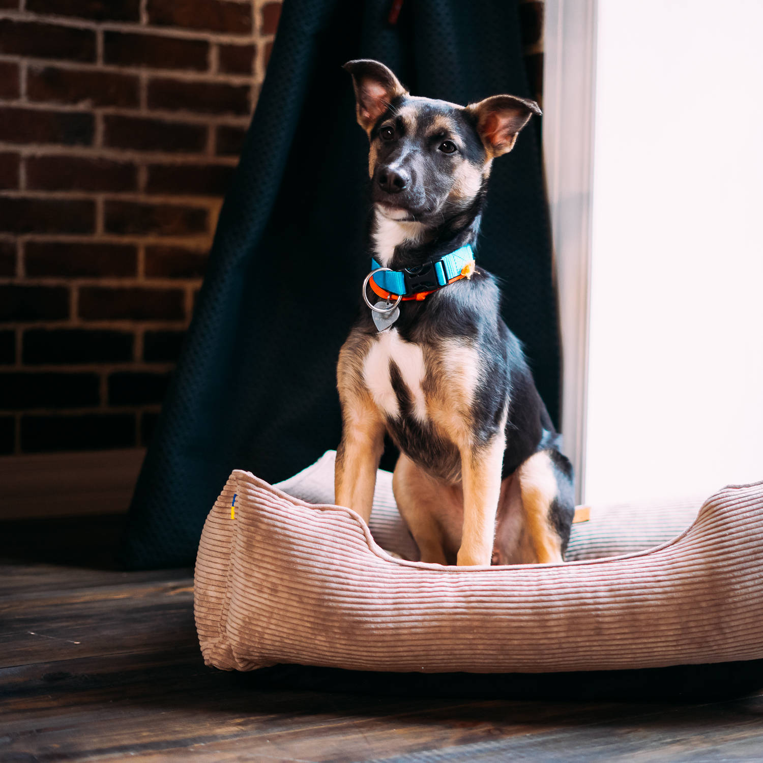 Sleepeezee basket dog bed discount