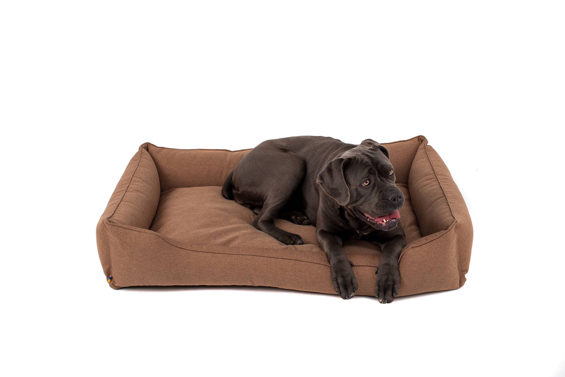 Padded dog bed all sized with removable cover / Easy Clean dog Etsy