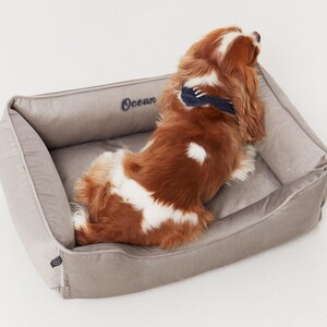 May include: A rectangular, light gray dog bed with a plush, velvety texture. The word "Ocean" is embroidered in navy blue on the headrest. A Cavalier King Charles Spaniel with brown and white fur rests inside the bed.