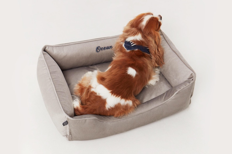 May include: A rectangular, light gray dog bed with a plush, velvety texture. The word "Ocean" is embroidered in navy blue on the headrest. A Cavalier King Charles Spaniel with brown and white fur rests inside the bed.