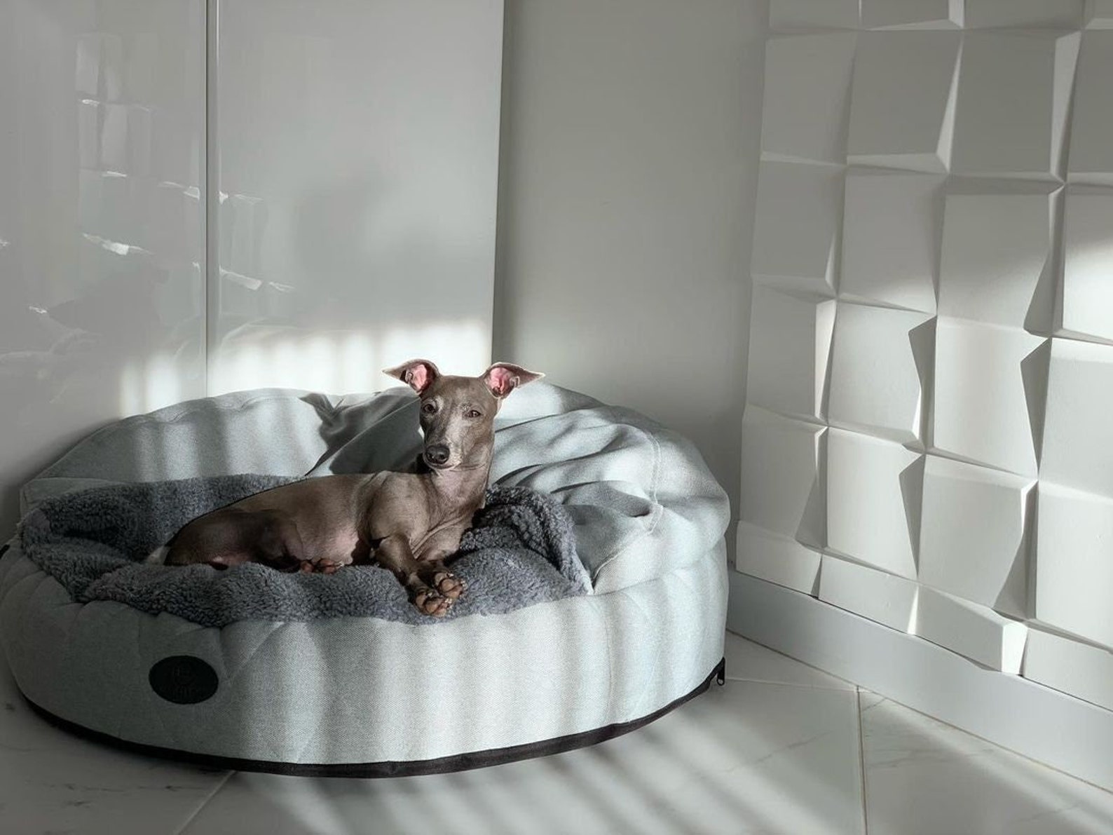 5 Cozy Dog Cave Beds For Australians