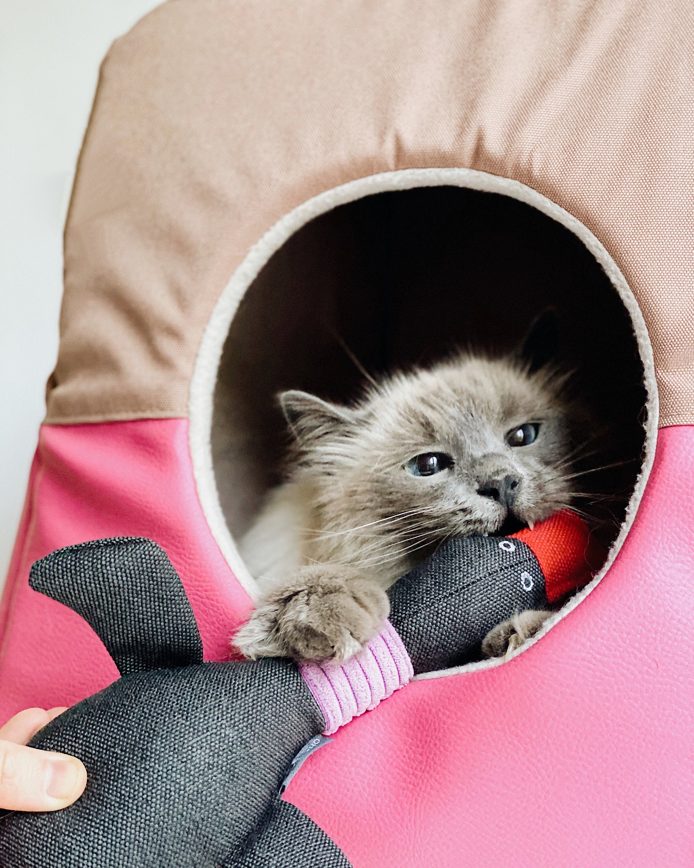 Chien Toy Oie, Mastication Chien Canard, Toy Pour Chiens, Cadeau Des Propriétaires de Chiens