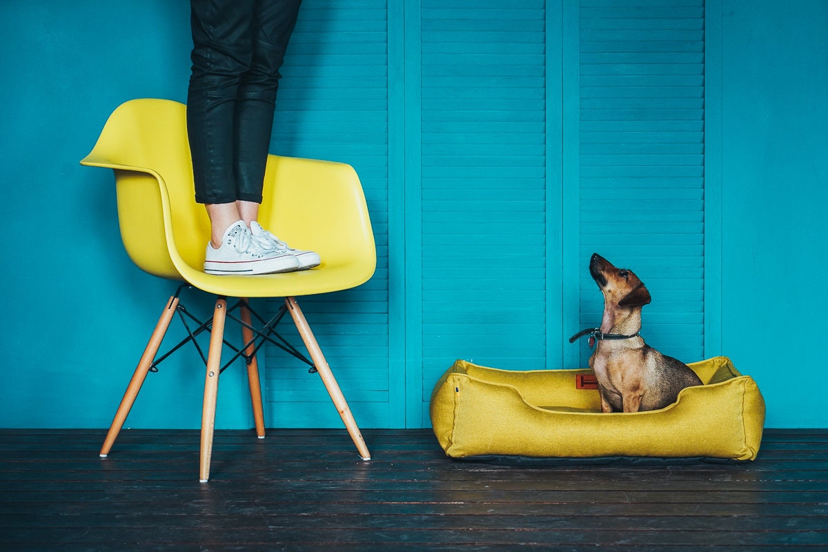 YELLOW Dog Bed With Removable Cover / Bright Dog Nest Sunshine Etsy