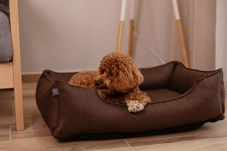 May include: A brown dog bed with a dark brown exterior and a soft interior. A small, brown dog with curly fur is resting inside the bed. The bed is placed on a wooden floor.