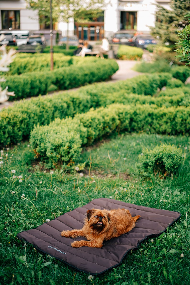 Dog Roll up Travel Mat Waterproof Dog Mat Portable Outdoor Etsy