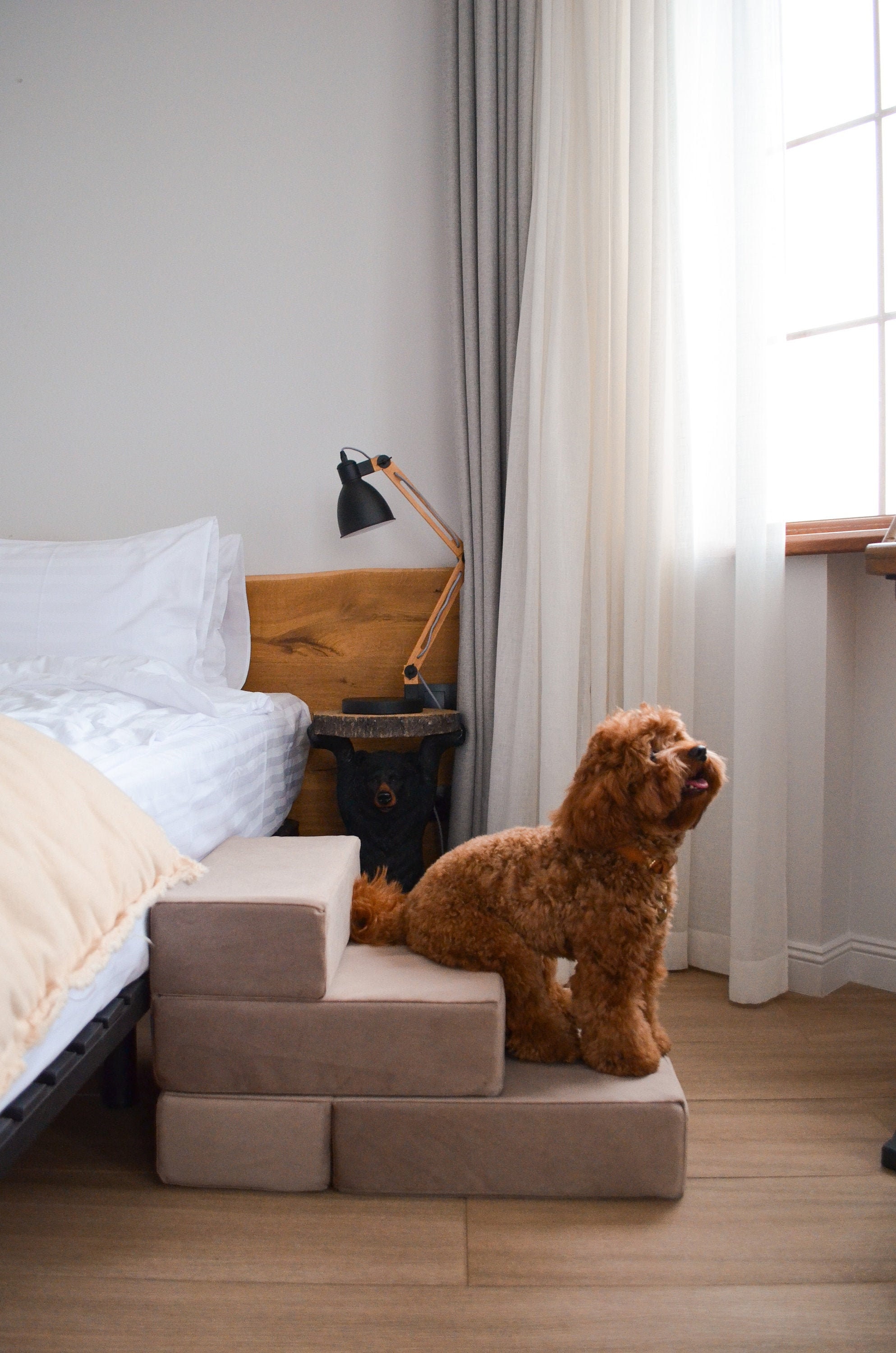 steps for dogs for bed