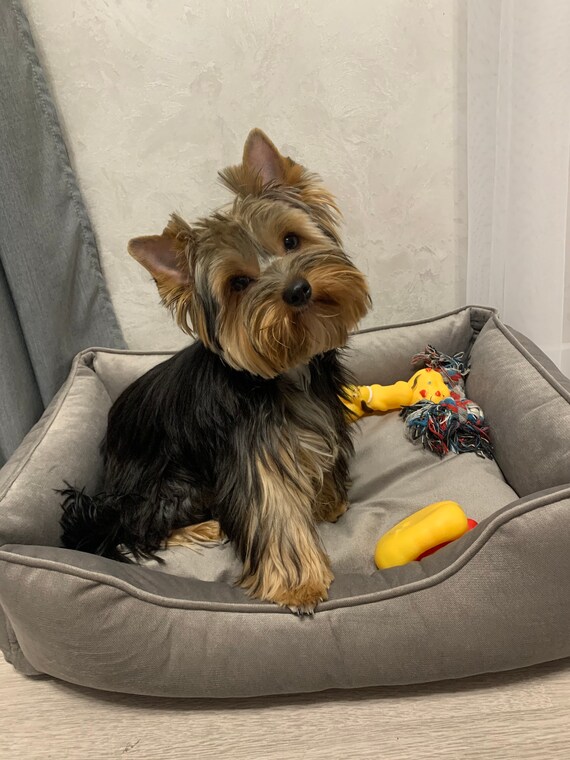 pillow pocket dog bed