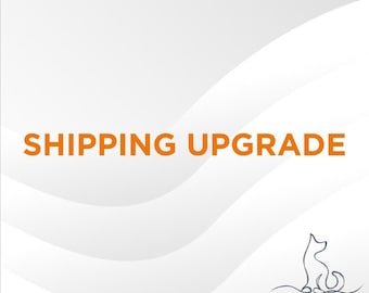 Versand nur nach Zahlungseingang