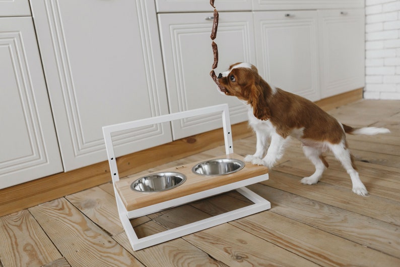 Elevated Food Bowl Set for Growing Puppies Adjustable Etsy