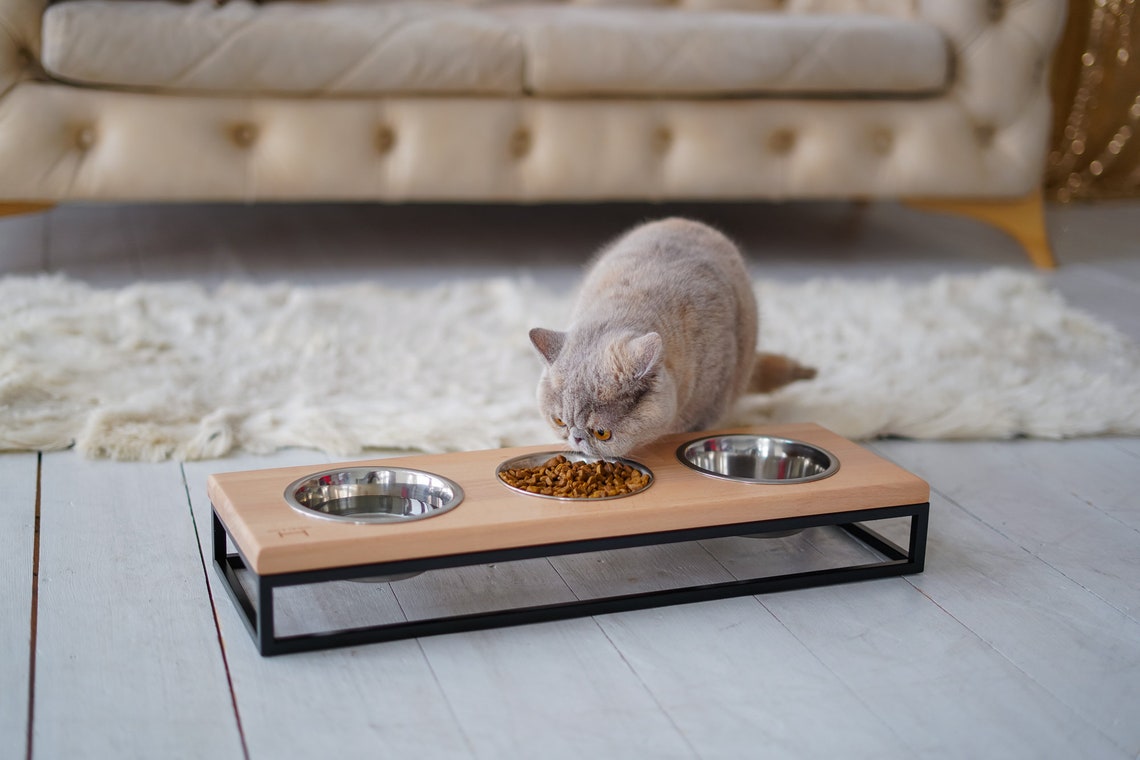Cat Three bowls Black metal stand Wooden top / Triple cat Etsy