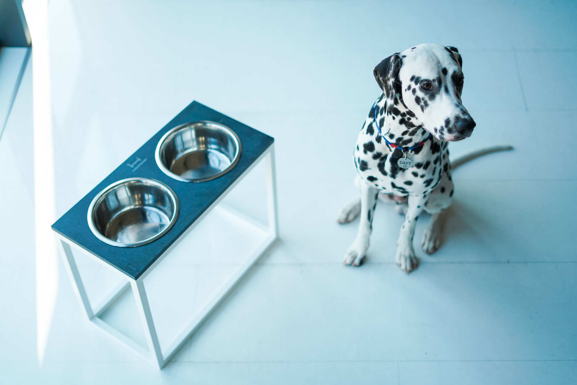 Extra Large Dog Bowls With Stand Elevated Double Bowls Stand for Tall Dogs  2800 Ml / 1800 Ml 