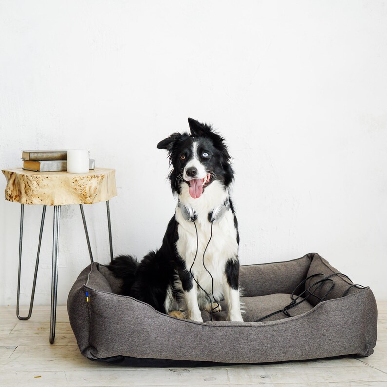 May include: A black and white Border Collie dog with one blue eye and one brown eye sits in a gray dog bed. The dog wears silver headphones around its neck. A small side table with books and a mug is to the left.