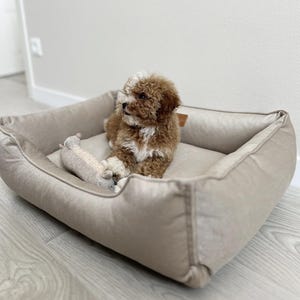 May include: A small, fluffy brown and white puppy rests in a beige rectangular pet bed. A beige stuffed toy is in the bed with the puppy. The bed has a soft, plush appearance, suggesting comfort and relaxation for the pet.