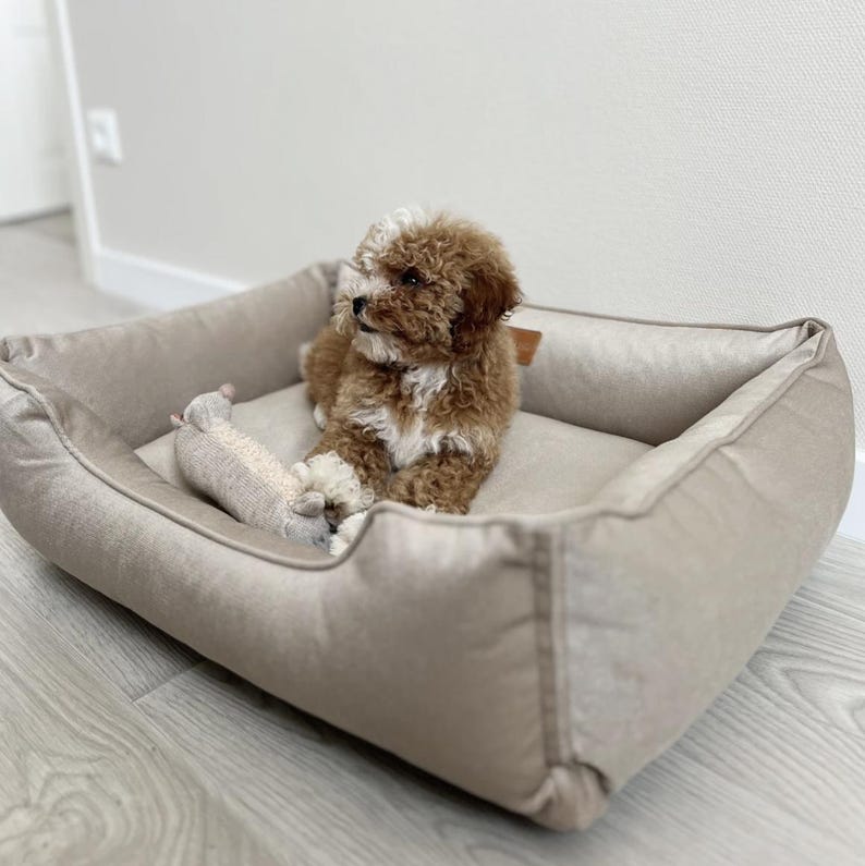 May include: A small, fluffy brown and white puppy rests in a beige rectangular pet bed. A beige stuffed toy is in the bed with the puppy. The bed has a soft, plush appearance, suggesting comfort and relaxation for the pet.