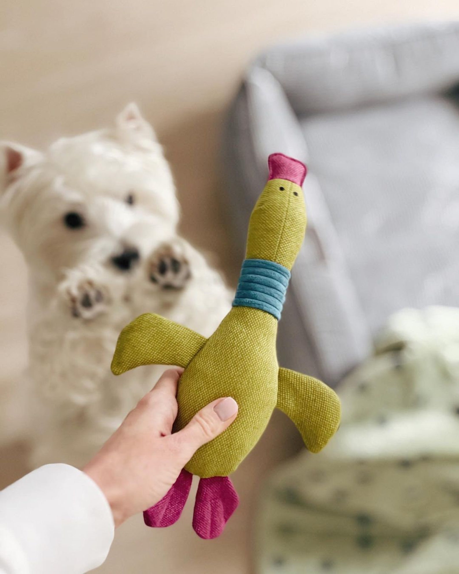 Dog Toy Duck Toy for Dog Canvas Pet Toys Puppy Toy Etsy