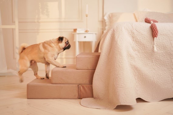 Gradini per animali domestici, scale per cani per letto, sgabello per  comodini, scale per gatti, scale