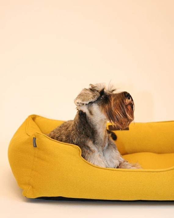 yellow dog bed
