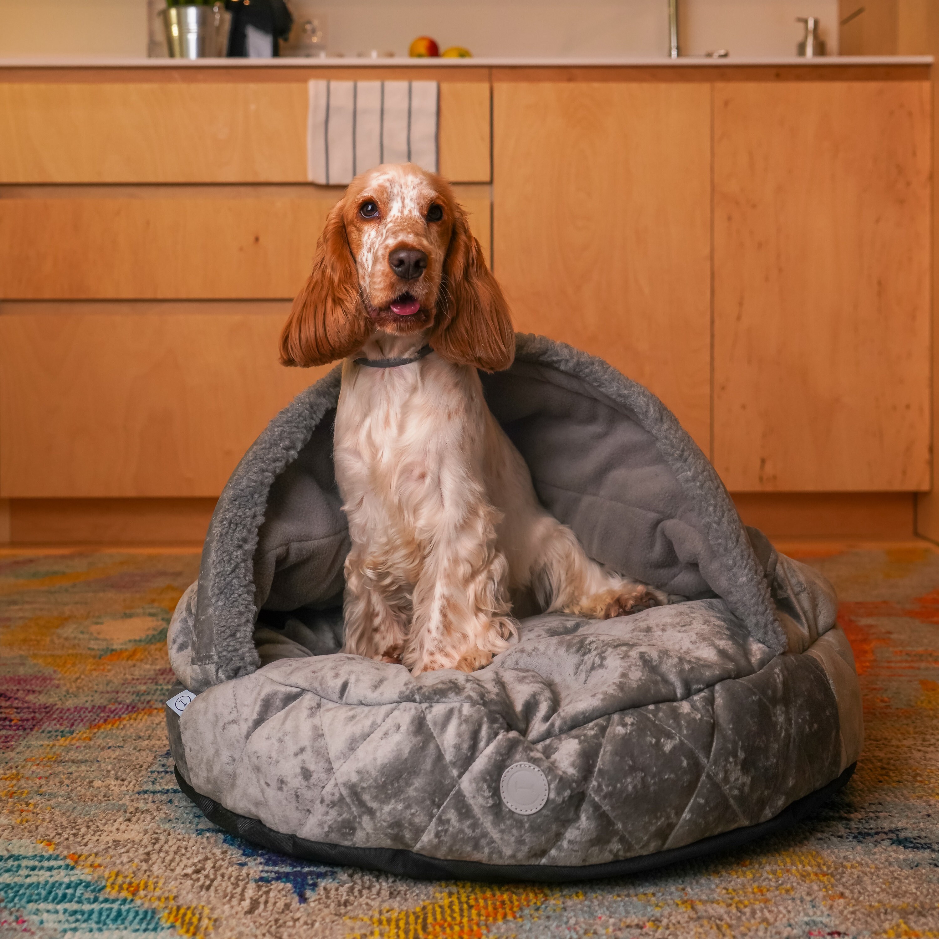 cocoon dog bed costco