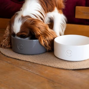 May include: A brown and white dog eats from a gray ceramic dog bowl. A white ceramic dog bowl sits next to the gray bowl on a woven mat.