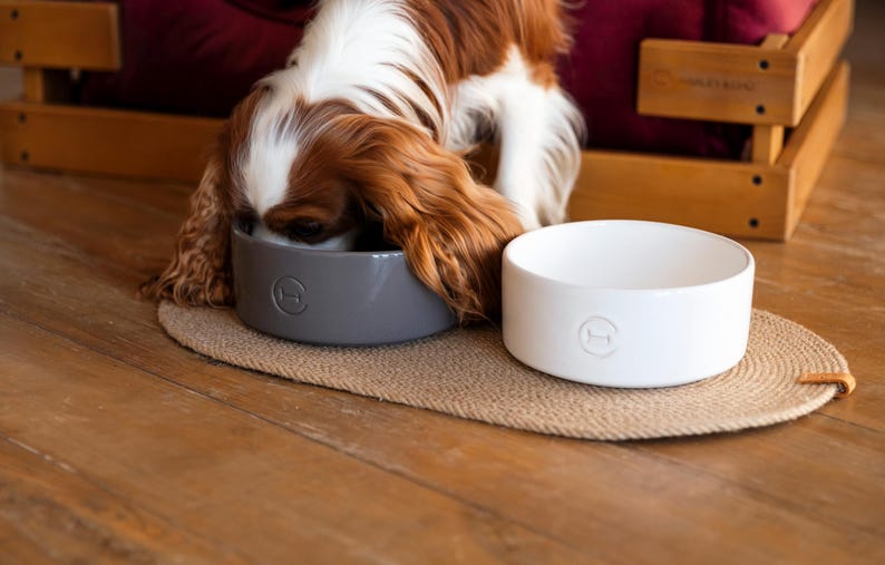 May include: A brown and white dog eats from a gray ceramic dog bowl. A white ceramic dog bowl sits next to the gray bowl on a woven mat.
